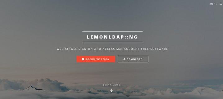 LL::NG website splash screen