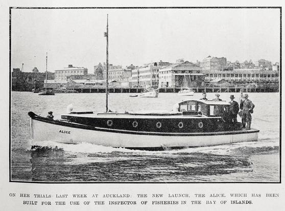 Black-and-white photo: Inspector of Fisheries launch, Alice. 1921. Caption: On Her Trials Last Week at Auckland: The New Launch, the Alice, Which Has Been Built for the Use of the Inspector of Fisheries in the Bay of Islands. Description: Shows the launch motoring in a harbour; four men are standing near the stern. Citation: Supplement to the Auckland Weekly News, 29 September 1921, p. 31. Auckland Libraries Heritage Collections AWNS-19210929-31-04. https://kura.aucklandlibraries.govt.nz/digital/collection/photos/id/241349