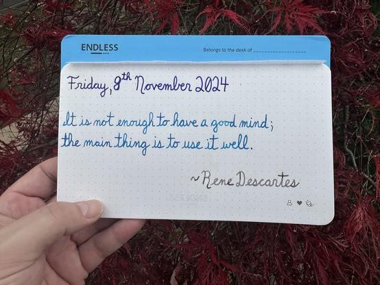 A pen quote of Rene Descartes that reads, “It is not enough to have a good mind; the main thing is to use it well.”

Written in Lamy Crystal Azurite, Lamy Turquoise & Pelikan Edelstein Moonstone.
