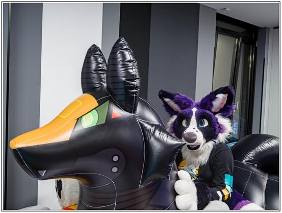 A purple and white collie dog fursuit riding a big inflatable (mostly black) mecha looking fox