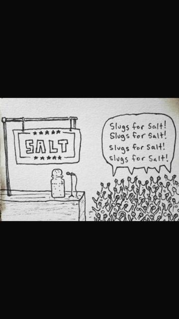 A cartoon of a salt shaker on a podium under a campaign banner reading"SALT", and a crowd of slugs chanting "Slugs for Salt"