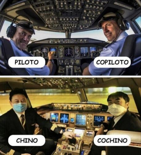 Piloto-copiloto
Chino -cochino
