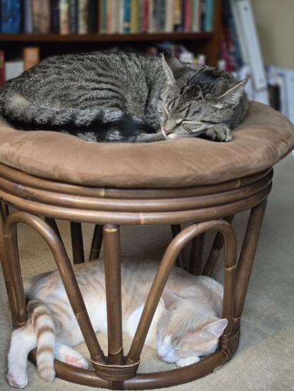 Two cats sleeping. A Grey tabby on top of a stool and a butterscotch tabby on the floor beneath the stool. They are curled up the same way.