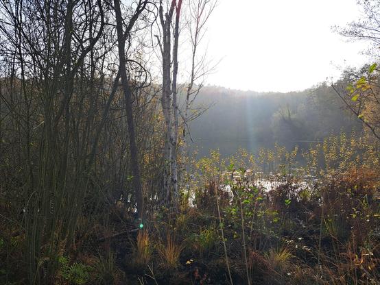 Blick gegen die Sonne über den kleinen, runden Teufelsee