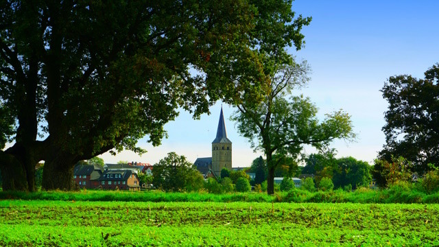 Blick über Weiden und durch Bäume hindurch auf die Kirche St. Peter in Spellen.