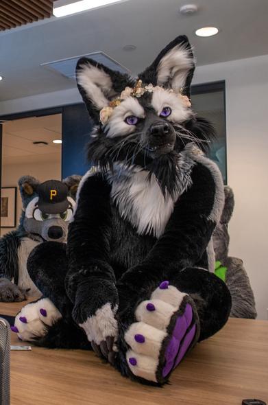Sebastian sits on a conference table surrounded by other fursuiters