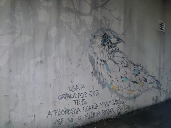 usa  a capacidade que tens a floresta ficaria mais silenciosa se só um pássaro cantasse. um graffiti com um passaro ao lado da frase.