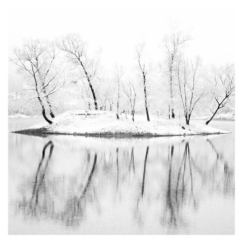 The image is a square black-and-white photograph with a white border, capturing a serene winter scene. At the center of the image is a small island covered in a light layer of snow, surrounded by the calm waters of a lake. The island hosts a cluster of leafless, slender trees, each dusted with snow, their dark trunks creating a striking contrast against the bright, almost white background. The trees' reflections are mirrored softly in the water below, giving the scene a sense of balance and symmetry. The distant background is also covered in snow and fades gently into a white haze, suggesting a foggy, wintry atmosphere. The overall effect is tranquil and almost dreamlike, with a high-key aesthetic that emphasizes the simplicity and stark beauty of the winter landscape.
