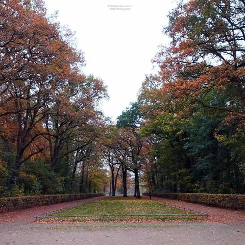 An autumnal scene at a park.