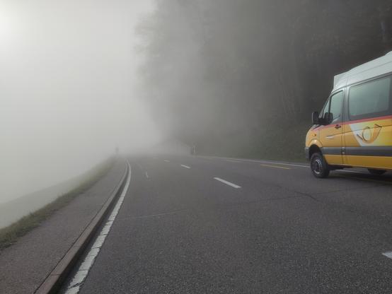 Foto. Ein gelber Kleinbus auf einer Strasse im Nebel.