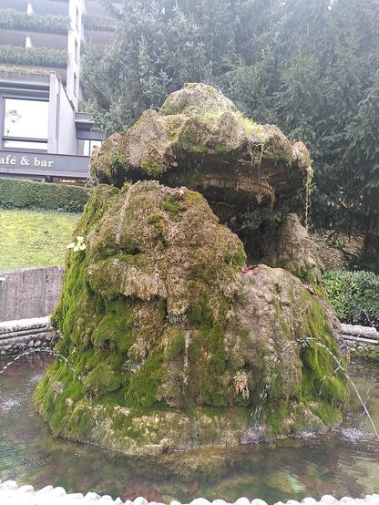 Stone structure covered by a few diferent types of moss, turned into a fountain.