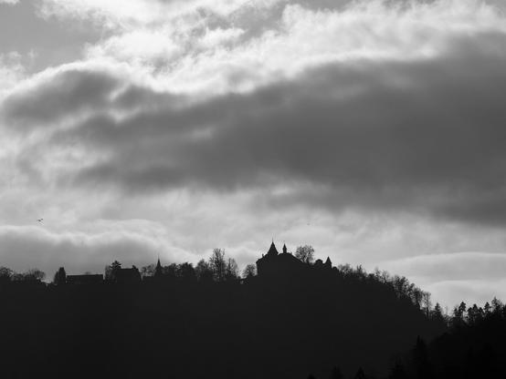 Silhouette of the Kyburg on a gray autumn day. Applied the iPhone’s Mono filter.