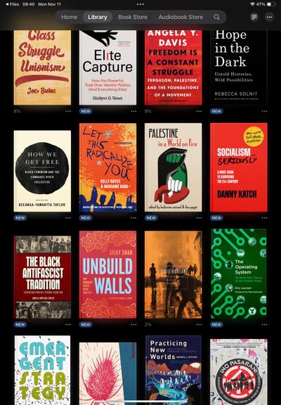 A digital library interface displaying various book covers related to social justice, activism, and political theory. Titles include "Class Struggle Unionism," "Elite Capture," "Freedom Is a Constant Struggle," “Hope in the Dark”, ”How We Get Free”, “Let this Radicalize You”, “Palestine in a World on Fire”, “Socialism… Seriously”, "The Black Antifascist Tradition”, “Unbuild Walls”, “Street Rebellion”, “The Operating System”, “Emergent Strategy”, “Joyful Militancy” (title obscured), “Practicing New Worlds”, and “¡No Pasarán!”