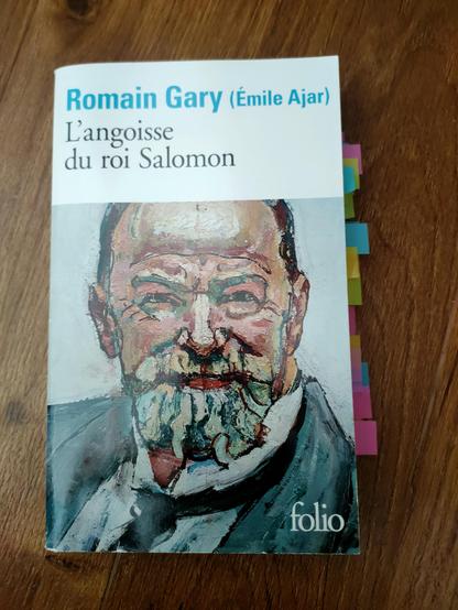 Livre L'Angoisse du roi Salomon de Romain Gary (Émile Ajar) et des dizaines de marque-pages Post-it qui dépassent