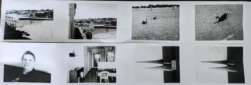 Eight black and white photos, all very high contrast. Top row is two landscapes of approximately the same scene, and two of black swans on the water. Bottom row is a portrait, an interior room image, and two of a pair of tall glass vases.