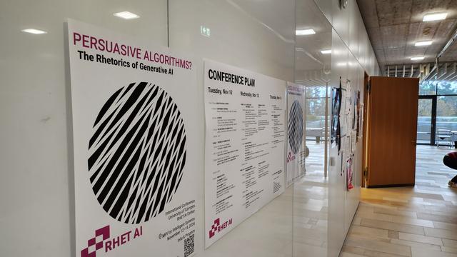 The picture shows multiple posters for the conference as well as the conference plan.