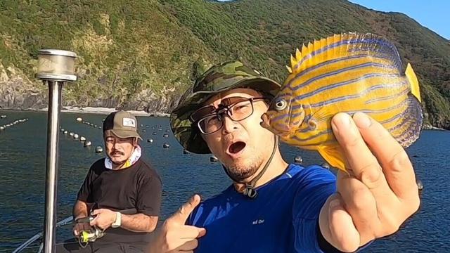 Great weather for fishing in Ehime, Japan. A big catch of clover and sardines.