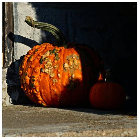 Orange pumpkin on a doorstep half in sunlight and half in shade.