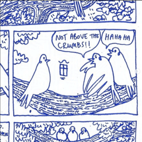 Part of a comics page on cute pigeons.