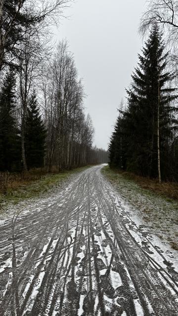 A winding, snowy path through a forest lined with bare trees and evergreen shrubs under a gray sky. The ground shows tracks from footsteps and vehicle tires.