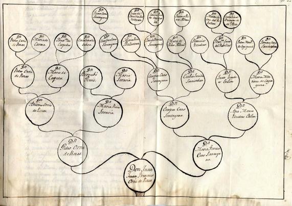 Una jerarquía dibujada sobre papel que muestra 4—5 generaciones de los antepasados del señor Ortiz de Rozas.
