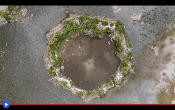 Inquadratura aerea di un terrapieno dalla forma circolare in prossimità della costa atlantica. Alberi e piante crescono attorno allo spiazzo sgombro centrale.