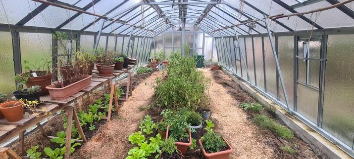 Greehouse withour the  tomatos which we had to remove as it is now to cold. in Oktober