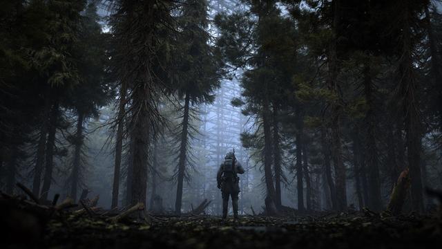 Image tirée du jeu vidéo ukrainien Stalker 2 : un homme encapuchonné, avec un sac et un fusil sur le dos, est vu de dos au milieu d’une forêt de résineux sombre et brumeuse.