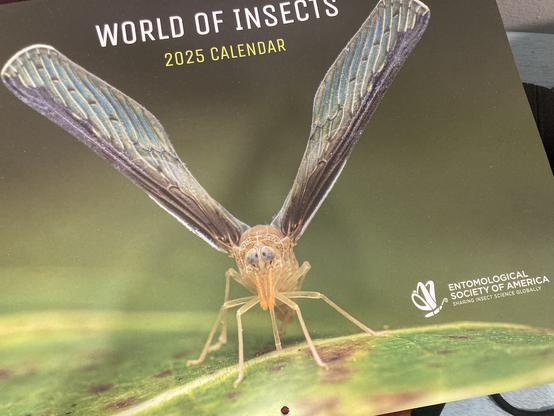 front of a 2025 calendar with a cool fly on the cover