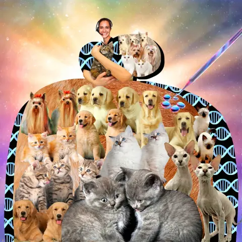 PHOTO-ILLUSTRATION: JOHANNA GOODMAN; GETTY IMAGES