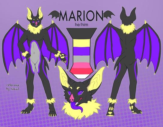 Ref of an anthro bat with purple and gray markings and yellow fur. Left is front view, right is back, and middle has name palette and headshot
