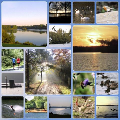 Collage mit Fotos von einem See und Freizeitpark, dem Toepper in Bergheim (Rheinhausen).

Collage with photos of a lake and leisure park, the Toepper in Bergheim (Rheinhausen).