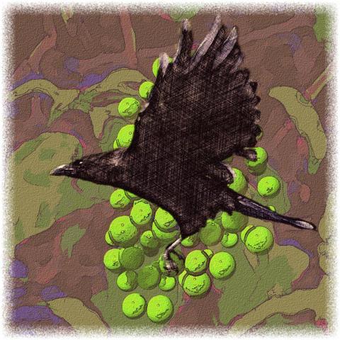 Bearbeitetes Foto und Montage: Vor einem Bund grüner Weintrauben ist ein schwarzer Rabe mit ausgebreiteten Flügeln zu sehen.

Edited photo and montage: A black raven with outstretched wings can be seen in front of a bunch of green grapes.