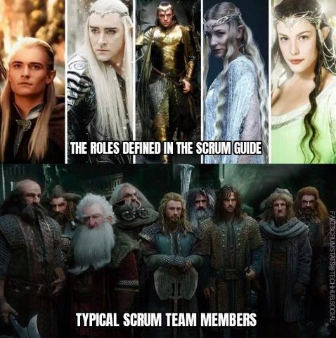Beautiful figures from Lord of the Rings labeled "The roles defined in the scrum guide"

The trolls in the Lord of the Rings labeled "Typical scrum team members"