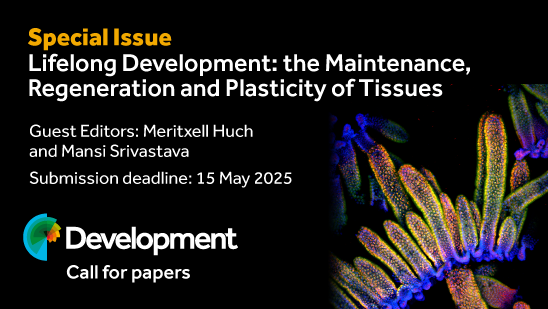 Development Call for papers. Special Issue - Lifelong Development: the Maintenance, Regeneration and Plasticity of Tissues. Guest Editors: Meritxell Huch and Mansi Srivastava. Submission deadline: 15 May 2025.