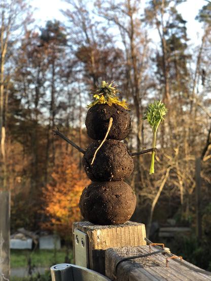 A snowman out of Mud