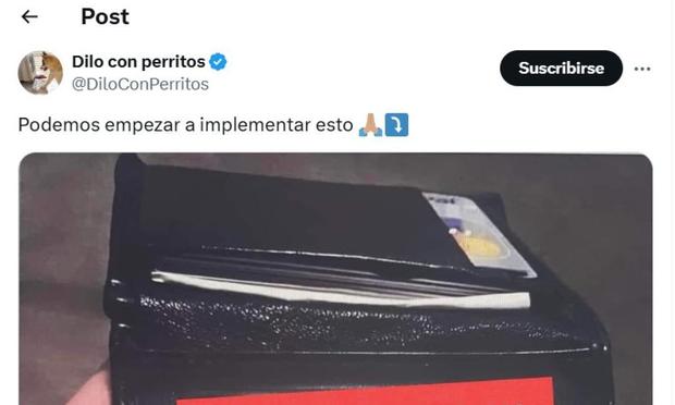 El mensaje de @DiloConPerritos con su propuesta. (X / @DiloConPerritos)