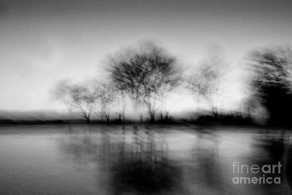 a B&W photo taken during a rainstorm of some trees along the bay with their reflections in the rain soaked road. Entitled Harbinger