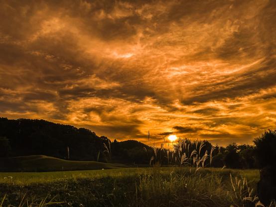 焦がれる空
  〜いつかの夕陽〜