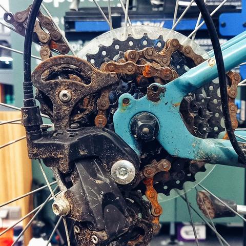 Photo détaillant la roue arrière d'un vélo vert-bleu dont la chaîne, cassée et rouillée, s'est enroulée autour des pignons. Le dérailleur s'est tourné, levé par l'arrière sur le côté gauche de l'image, la gaine de son câble faisant une grande courbe au-dessus.