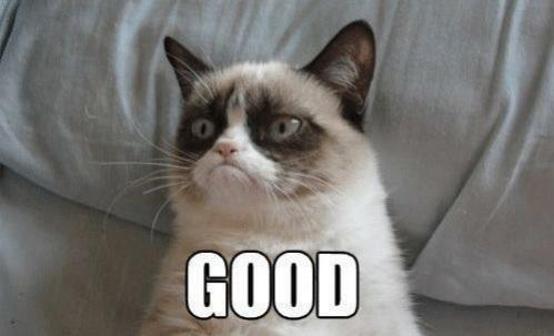 A closeup photo of the late shorthair cat formally known as Tartar Sauce, and widely know as Grumpy cat. Her face resembeles a human scowl and below her mouth is a caption in large white font saying "GOOD."