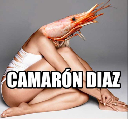 Camarón diaz
Se veria el cuerpo de camarón diaz y la cabeza de un camaron