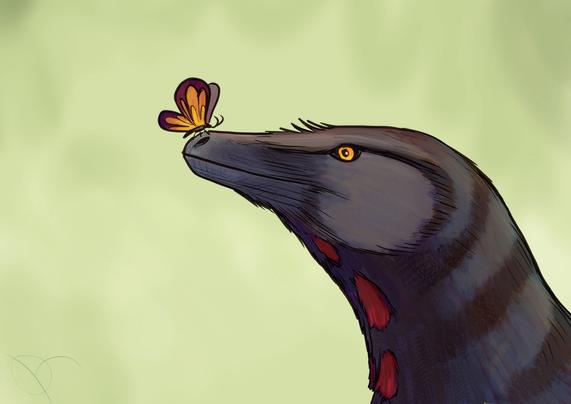 raptor and butterfly