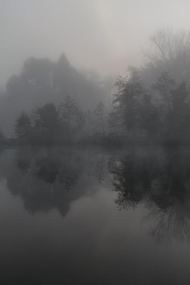A color photo of a river at dawn, shrouded in thick fog. Trees along the opposing riverbank are partially obscured, with their dark silhouettes reflecting in the calm water. The mist softens the landscape, creating gentle, muted colors over the whole scene. (Photo by me, CC-BY-4.0)