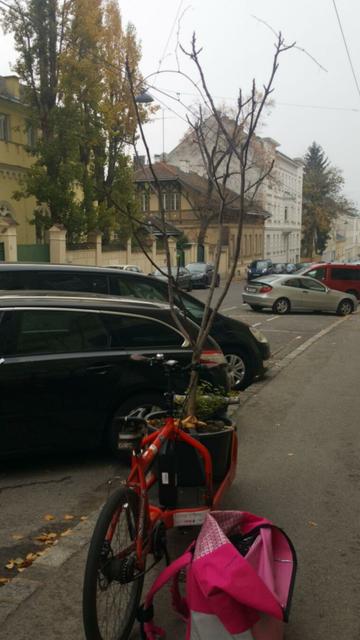 #alt4me #cargobike #messlife #greenlogistics #lastmile #vienna #hermes #cooperative #collective #kollektiv #carryshitolympics #radioorange #