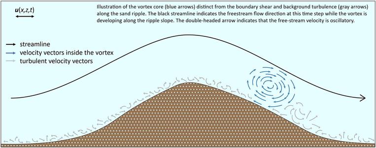 Illustration of the vortex core (blue arrows) distinct from the boundary shear and background turbulence (gray arrows) along the sand ripple. The black streamline indicates the freestream flow direction at this time step while the vortex is developing along the ripple slope. The double-headed arrow indicates that the free-stream velocity is oscillatory.