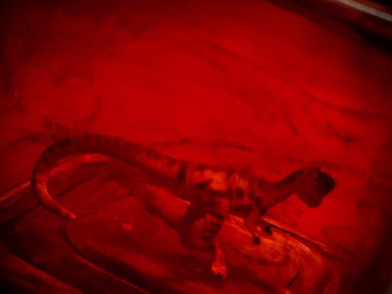 The obscured outline of a Dilophosaurus in a large red prison made of glass. They are surrounded.