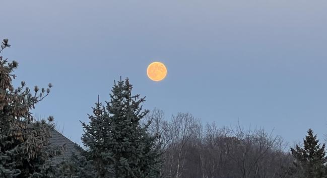 A full orange moon appears in the twilight sky above rooftops and pine trees