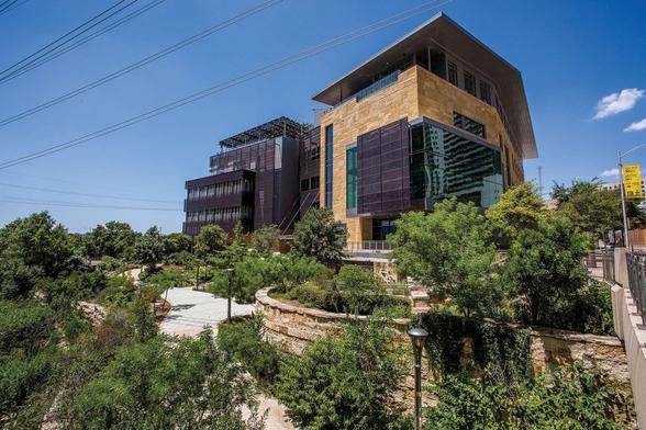 Photo of the central branch of the Austin, TX library system. Blue skies in the background and bright green trees and shrubs dominate the foreground.