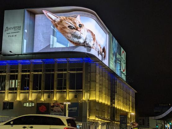 Eine große elektronische Anzeigetafel auf einem Haus in Keelung, Taiwan. Nachtaufnahme; die LED-Bildleinwand zeigt eine liegende Katze, die mit großen Kulleraugen einem Spielzeug folgt. Die Animation ist in 3D und geht um die Ecke der gebogenen Leinwand, gut zu sehen von allen Seiten des Platzes und der großen Kreuzung.